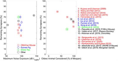 The Relative and Combined Effects of Noise Exposure and Aging on Auditory Peripheral Neural Deafferentation: A Narrative Review